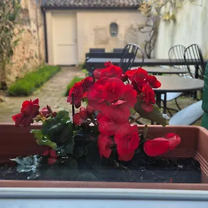 19 Borgo Cavour Frühstückspension Treviso
